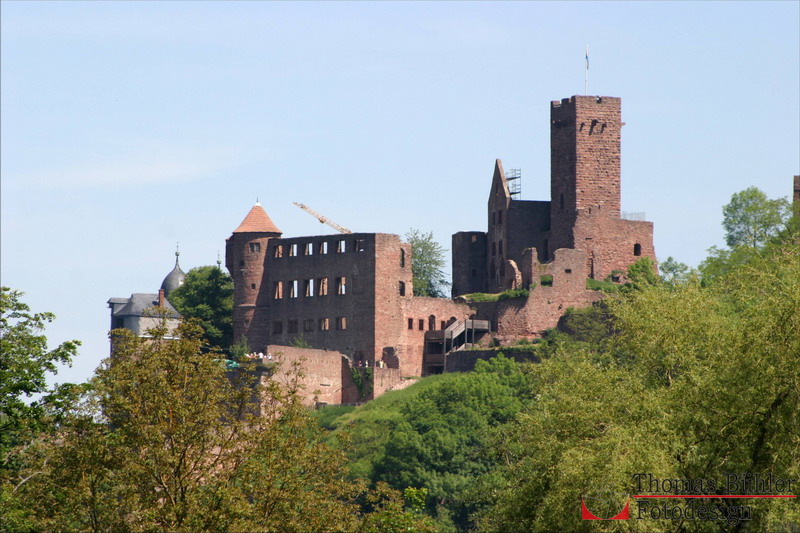 ©Burg Wertheim_IMG_4903.jpg
