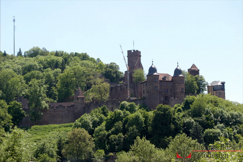 ©Burg Wertheim_IMG_5058.jpg