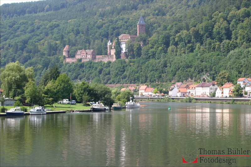 ©Burg am Neckar_IMG_0381.jpg