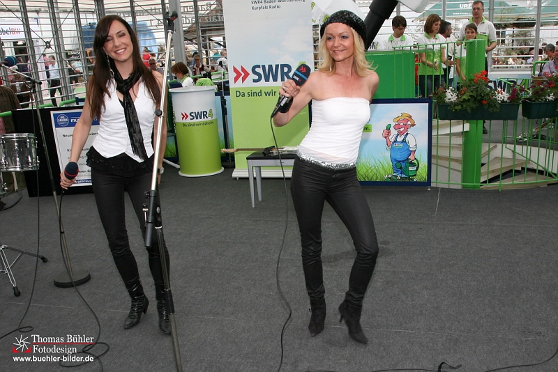 Rosenrot IMG_1792,0.jpg