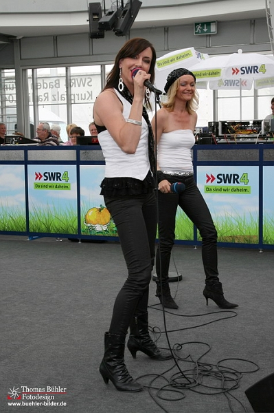 Rosenrot IMG_1828.jpg