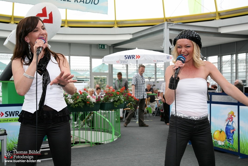 Rosenrot IMG_1876.jpg