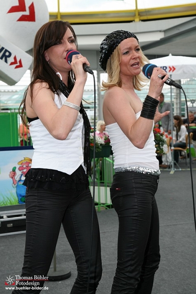 Rosenrot IMG_1885.jpg