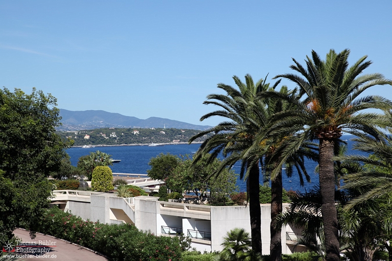 Monaco IMG_6532.jpg