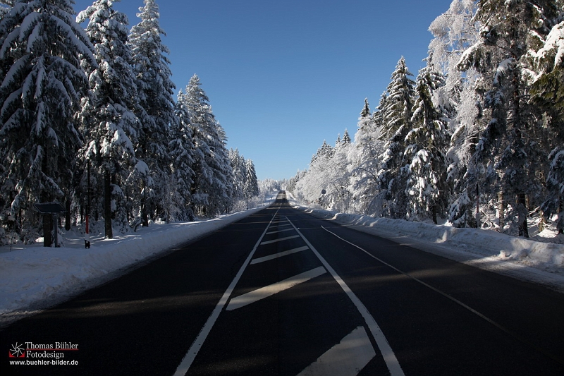 Winter_Schnee_Tanne_Wald IMG_5980.jpg