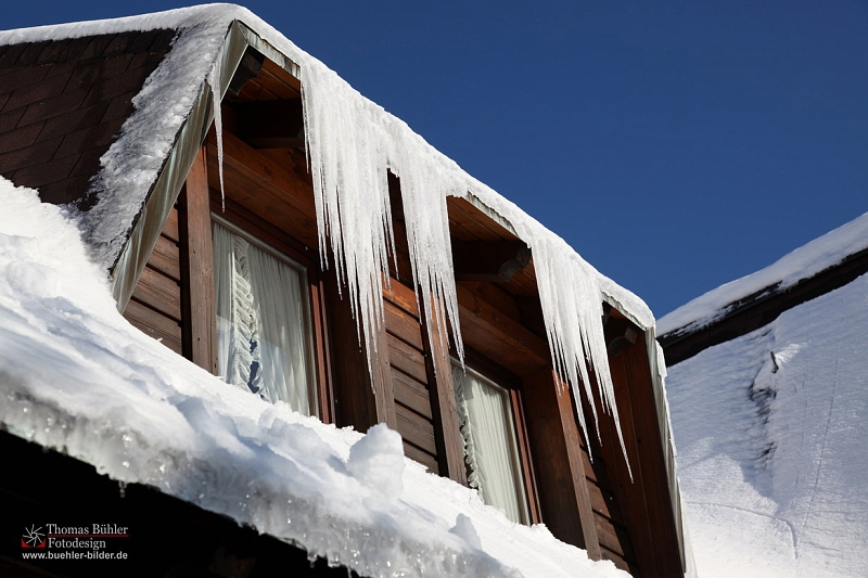 Winter_Schnee_Tanne_Wald IMG_6138.jpg