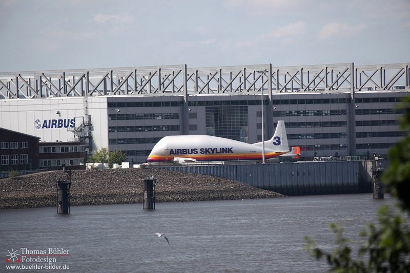 Hamburg Airbus Werk mir Beluga IMG_2615.jpg