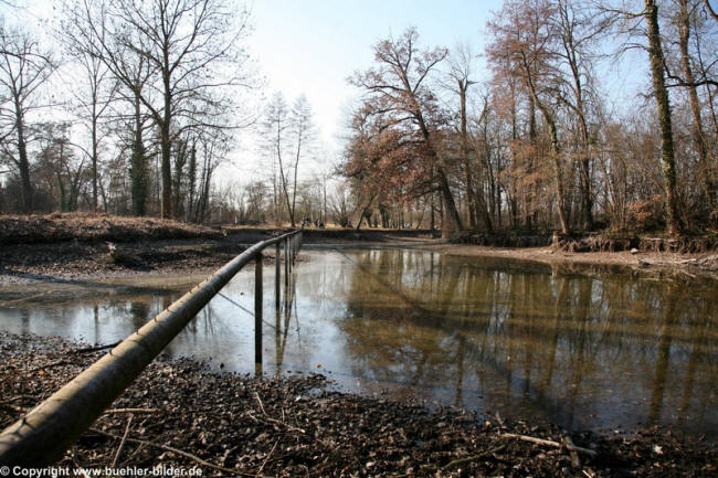 Monrepos See ohne Wasser_©IMG_3689.jpg