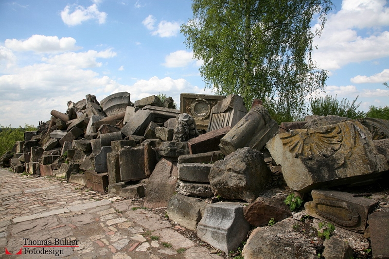 Birkenkopf_IMG_8656 Kopie.jpg