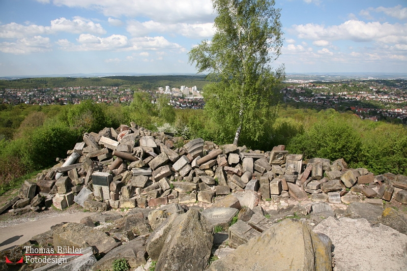 Birkenkopf_IMG_8714 Kopie.jpg